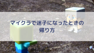 一年生 年少さんの子どもがマインクラフトで迷子に 無事街に戻る方法について調べてみました Anasa ブログ